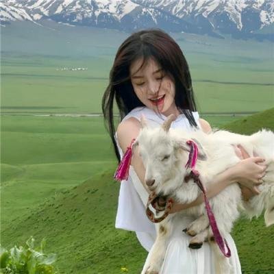 机智的恋爱生活